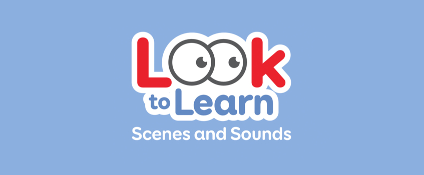 Вебинар по программе Look to Learn